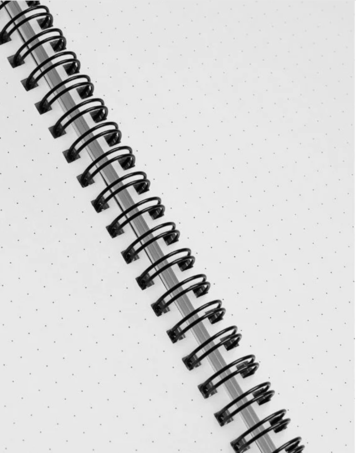 Dotted Grid Spiral Notebook